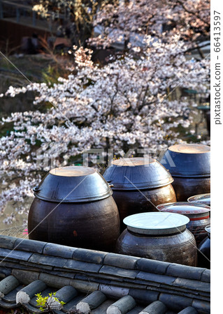 傳燈寺,瓦,櫻桃樹,堂堂台 傳燈寺,瓦,櫻桃樹,堂堂台 66413597