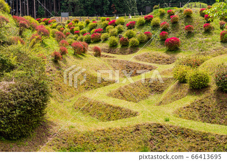 [Shizuoka Prefecture] Shoji moat at Mishima Yamanaka Castle Ruins Park 66413695