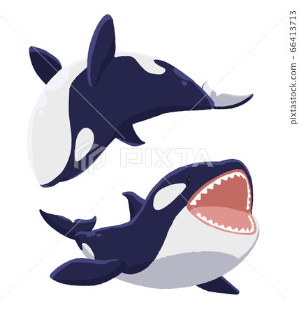 Killer whale swimming 07 (solid paint) Killer whale swimming 07 (solid paint) 66413713