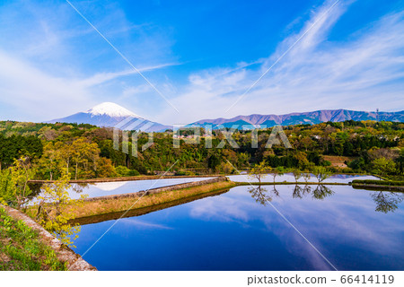 (Shizuoka Prefecture) Terraced rice fields and Mt. Fuji before rice planting (Shizuoka Prefecture) Terraced rice fields and Mt. Fuji before rice planting 66414119