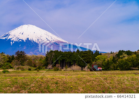 （靜岡縣）種植水稻時的富士山 66414321