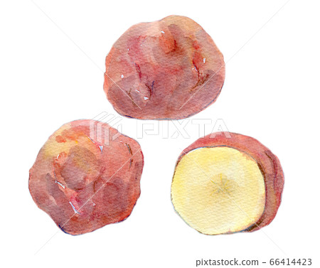 水彩插圖食品馬鈴薯香蕉燈 水彩插圖食品馬鈴薯香蕉燈 66414423