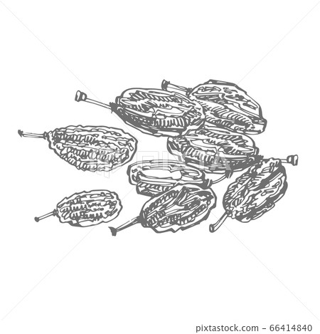 Raisins. Vector illustrations of Sketch Dried Fruits. Raisins. Vector illustrations of Sketch Dried Fruits. 66414840