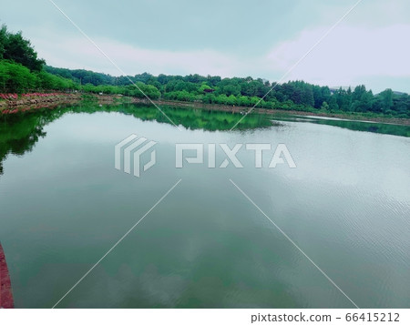 Pungam Lake Park Landscape 66415212