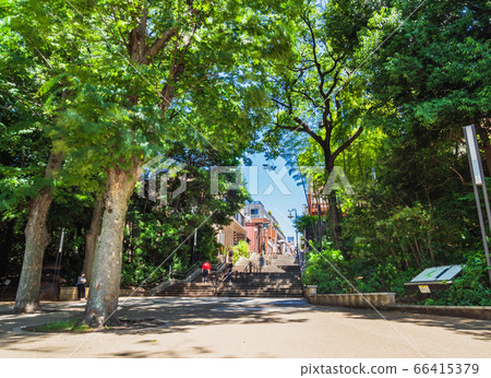 東京井之頭公園 東京井之頭公園 66415379