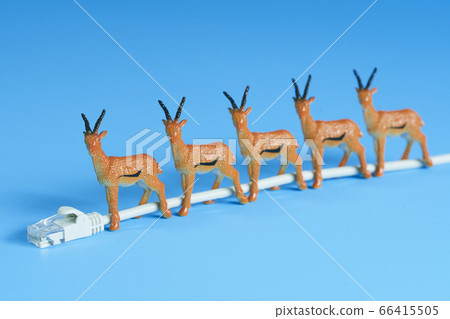 LAN cable and deer LAN cable and deer 66415505