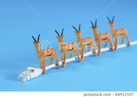 LAN cable and deer LAN cable and deer 66415507