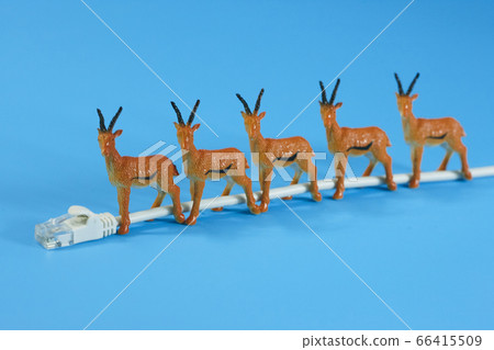 LAN cable and deer LAN cable and deer 66415509