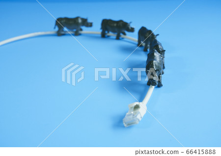 LAN cable and size 66415888