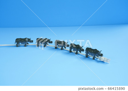 LAN cable and size 66415890