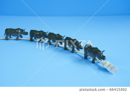 LAN cable and size 66415892