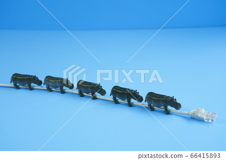 LAN cable and size LAN cable and size 66415893