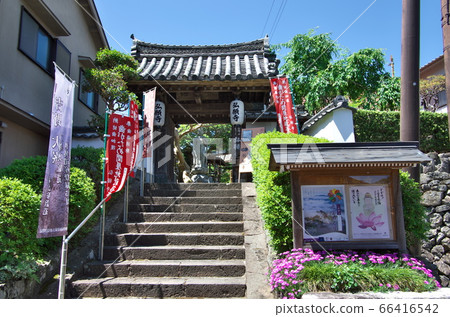 Yoshino Town, Nara Prefecture: The Gate of Koganji Temple 66416542