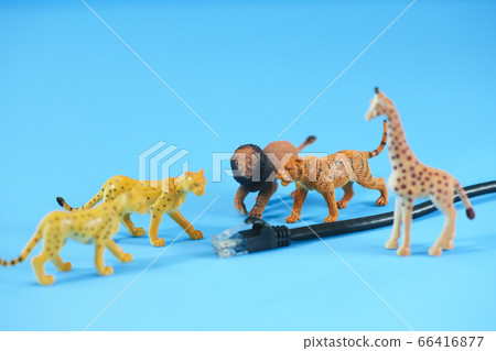 局域網電纜和老虎,獅子 局域網電纜和老虎,獅子 66416877