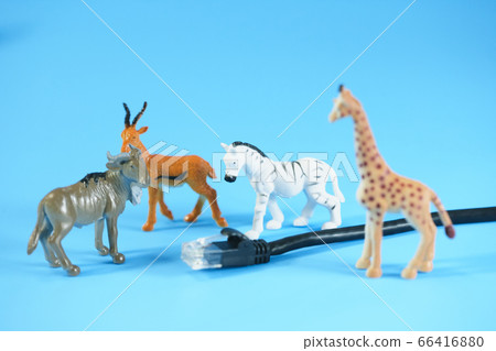 局域網電纜和老虎,獅子,長頸鹿 局域網電纜和老虎,獅子,長頸鹿 66416880