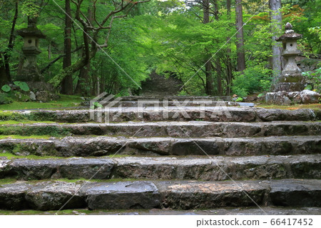 Road to worship at the fresh green scent of Godaizan Bamborin Temple (Kochi City, Kochi Prefecture) Road to worship at the fresh green scent of Godaizan Bamborin Temple (Kochi City, Kochi Prefecture) 66417452