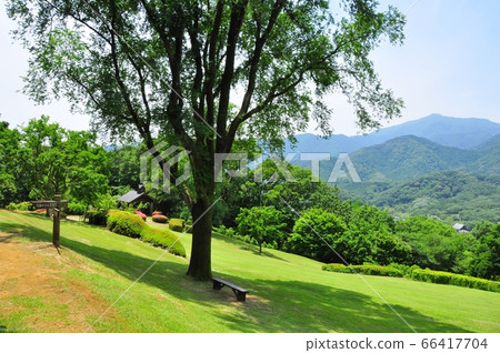 Kanagawa Prefectural Nanasawa Forest Park Oyama Square, Oyama and fresh greenery 66417704
