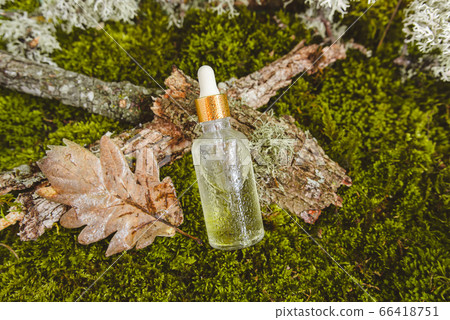 Natural eco-friendly organic cosmetics on the background of moss, leaves and tree bark. Natural eco-friendly organic cosmetics on the background of moss, leaves and tree bark. 66418751