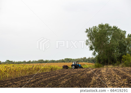 A tractor plows a field with a plow. Rural 66419291