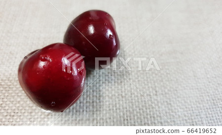 Sweet cherry 66419652