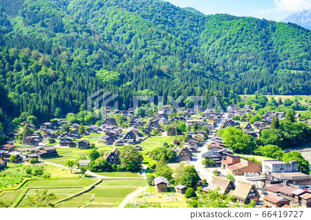 初夏的白川鄉(早晨) 初夏的白川鄉(早晨) 66419727