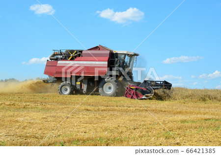 Combine harvesting 66421385