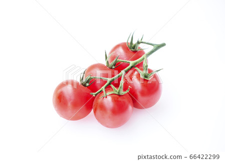 Fresh cherry tomato red vegetables image material 66422299
