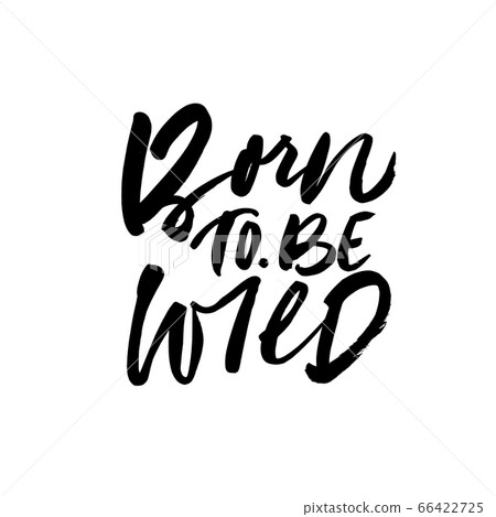 Born to be wild ink pen vector lettering.  66422725