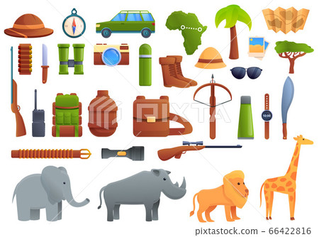 Safari equipment icons set, cartoon style 66422816
