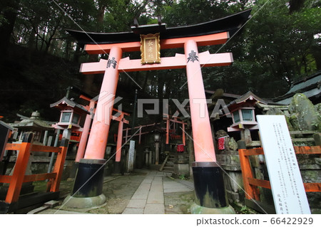 Fushimi-Inari Taisha Fushimi-Inari Taisha 66422929