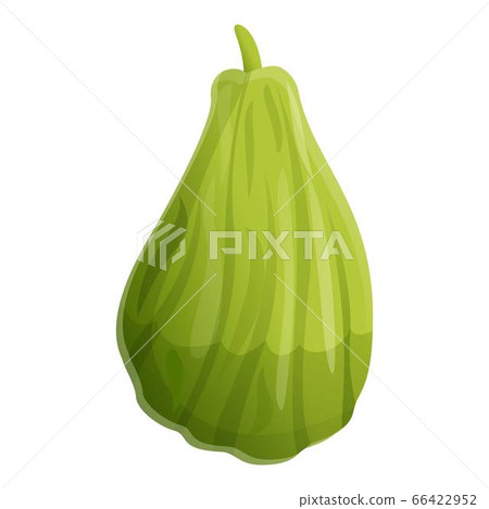 Tropical chayote icon, cartoon style 66422952