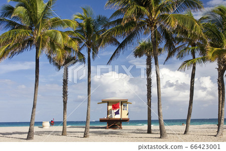 Lifeguard house between palm trees on the beach, Florida, USA Lifeguard house between palm trees on the beach, Florida, USA 66423001