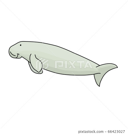 Dugong likes the beautiful sea Dugong likes the beautiful sea 66423027