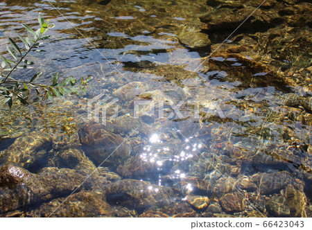 Transparent and clean valley water with bright sunlight 66423043
