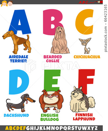 cartoon alphabet collection with dog breeds cartoon alphabet collection with dog breeds 66423165