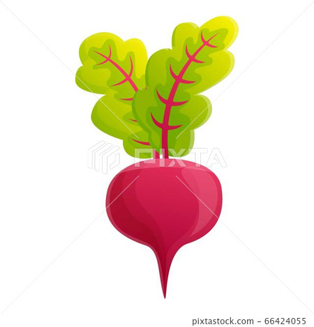 Farm beet icon, cartoon style Farm beet icon, cartoon style 66424055