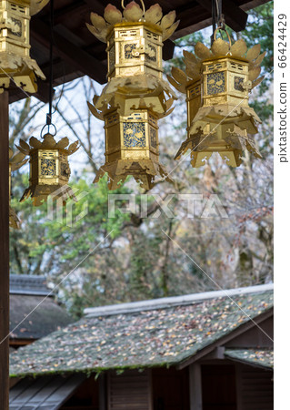 下鴨神社，淺草神社/河合神社，下den的吊燈和長賀賀明（Hojo-an） 66424429