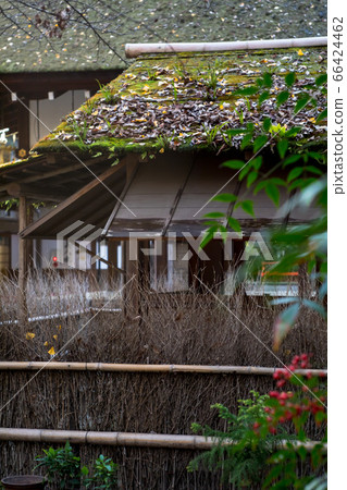 下鴨神社，淺草神社/河合神社，長amo賀茂（Kamo Nagaaki）的“北條安”（Hojo-an），來自南方天空的紅色果實 66424462