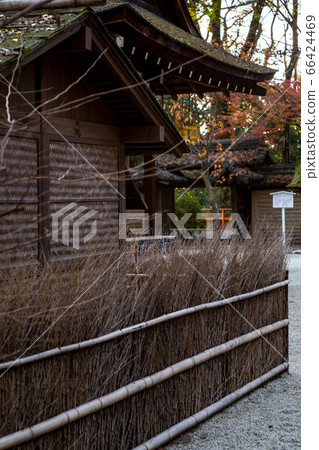 下鴨神社，淺草神社/河合神社，長永賀明的“北條之安”深秋 66424469