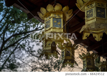 下鴨神社，淺草神社/河合神社，禮堂吊燈 66424512