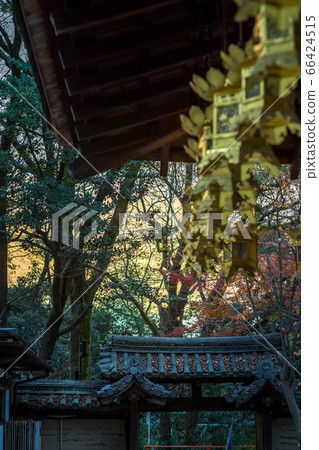 下鴨神社，淺草神社/河合神社，禮拜堂的懸掛燈籠和大門 66424515