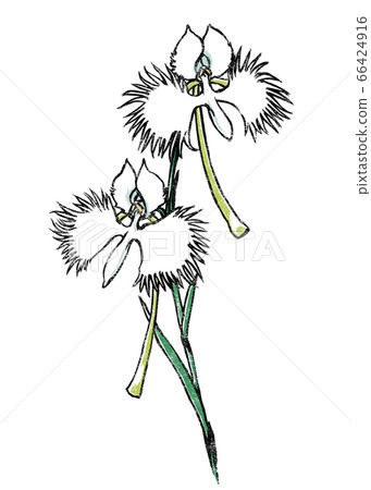 兩輪鷺草印花風格 66424916