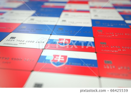 National flag of Slovakia on credit cards. Banking related 3D rendering 66425539