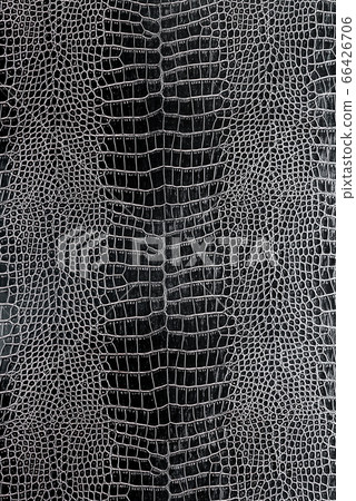 black crocodile or snake skin leather background 66426706