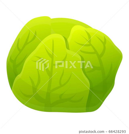 Cabbage icon, cartoon style Cabbage icon, cartoon style 66428293