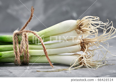 Fresh green onions close-up, Gray background, Organic products, layout for a healthy diet and organic restaurant cooking advertisement Fresh green onions close-up, Gray background, Organic products, layout for a healthy diet and organic restaurant cooking advertisement 66428514