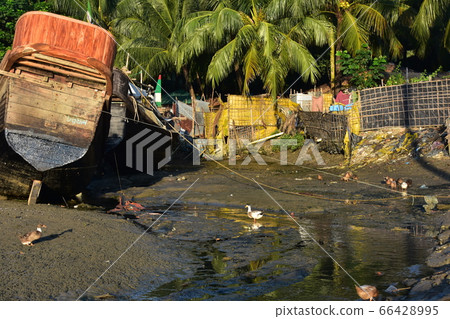 Cox's Bazar in Bangladesh Coastal village and stopped fishing boat Flock of wild birds walking on the beach 66428995