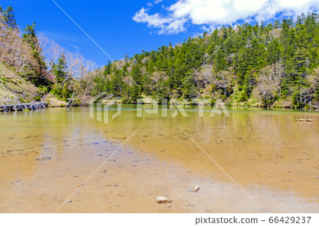 Midagaike pond with clear lake water 66429237