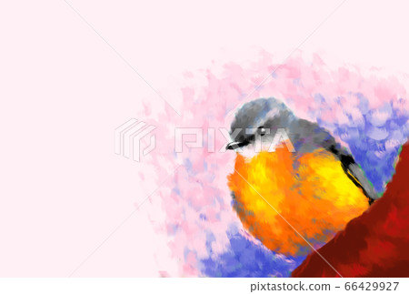 Eastern yellow robin 66429927