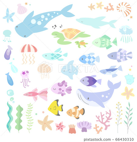 Sea creature illustration set (simple) Sea creature illustration set (simple) 66430310